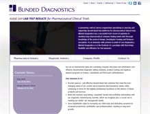 Tablet Screenshot of blindeddiagnostics.com